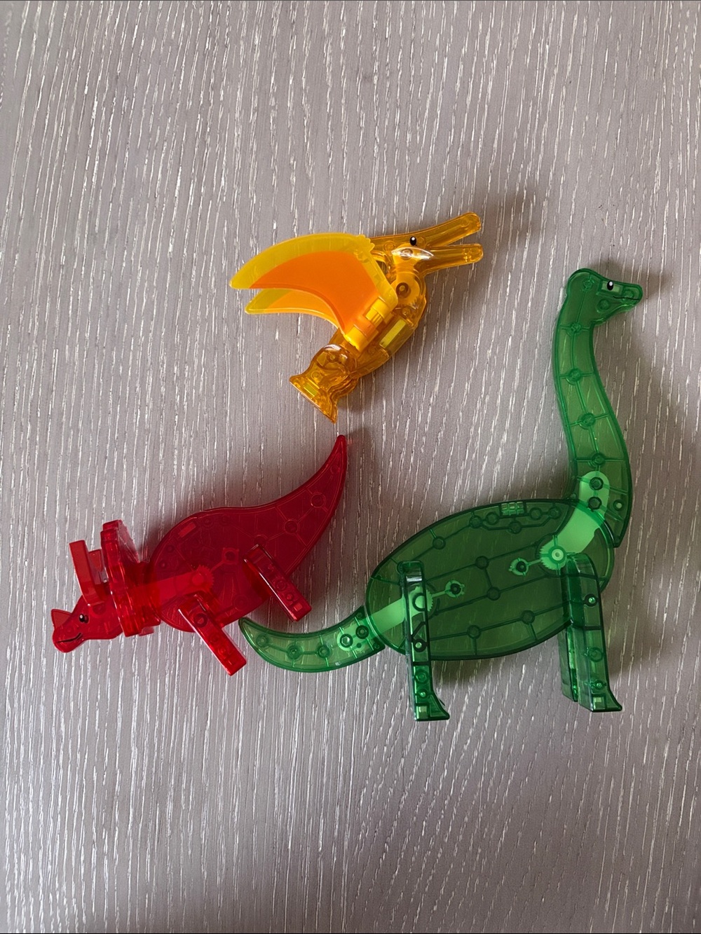 Magnatile Dinosaurs